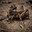MUD CRICKET