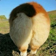 小水蛋蛋