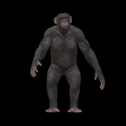 Monkey avatar