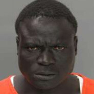 Typical Suspect