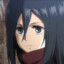 mikasa