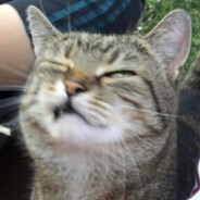 𝘬𝘹𝘤𝘱𝘦𝘳𝘳𝘳