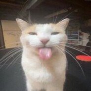 Данiл Колбасенка