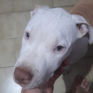 Naza avatar