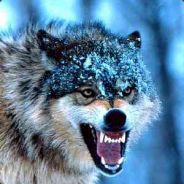 杀REN成瘾H杀杀杀杀杀