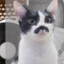 KITLER