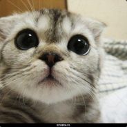 eL kOn3chO   ('',) ⚠️⚠