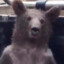 bear