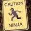 NinjaIC&#039;