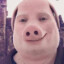 Johnporky