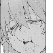 AAA鸿园丸药批发