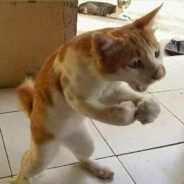 伴kun远航  不要黑鸽鸽