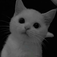 MRAZb :З