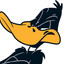 Daffy