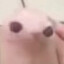 beangus