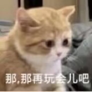 庭有枇杷树