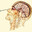 Lobotomy core