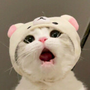 安娜也有带师梦