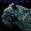 n1ce Frag # lol :D