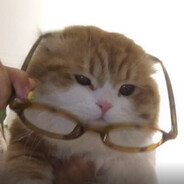 请你吃猫毛拌饭