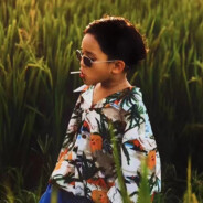 林黛玉倒拔垂杨柳