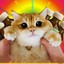 Beiser кот (не хомяк)