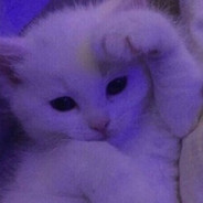 -Rempy <3 - steam id 76561197971682572