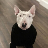 voilio's avatar