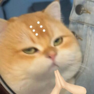 咕咕咕咕懒大王