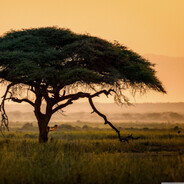 Mr. UglyFoot - steam id 76561198970832172