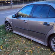 Сильный Гусь