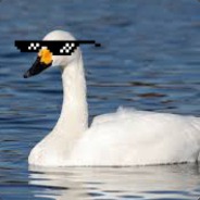 A Swan - steam id 76561197964354955
