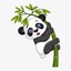 ThE PandA