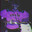 VISIONZ avatar