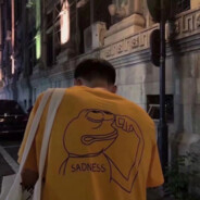 春风抚皱又拂陈