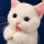 gamesense