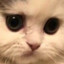 Cass_needs_to_hug