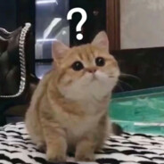 未界域的小和濑三夜