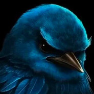 ШАНСЫ НИКЧЕМНО МА