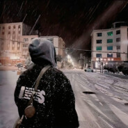 想念那不下雪的冬天