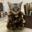 Unpeach's avatar