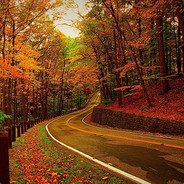 没有最菜只有更菜