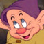 dunga