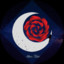 Moonlit Rose