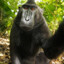 Zxc BANAN