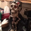 lil skeleton's avatar