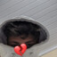 astroxArabul...