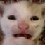 спать.'s avatar