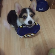 盗版黑胶走世界