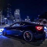 寂寞的人打路亚